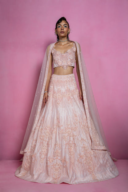 Powder Pink Embroidered Lehenga Set